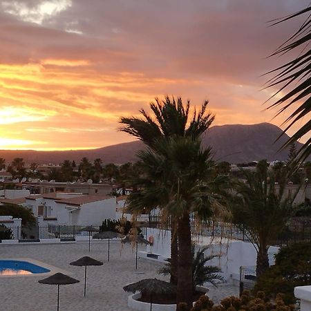 Apartamento Ama Tenerife Grande Terraza Арона Екстер'єр фото