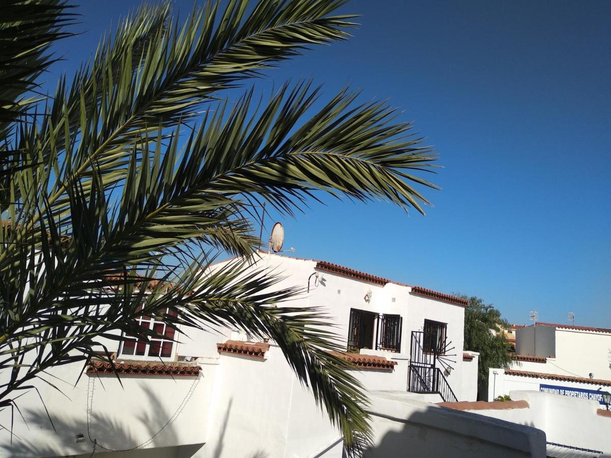 Apartamento Ama Tenerife Grande Terraza Арона Екстер'єр фото